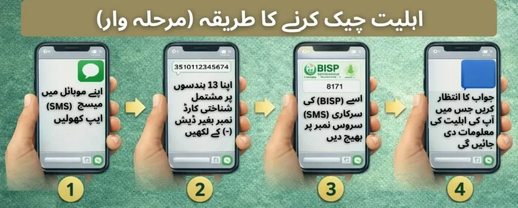 How to Check Eligibility of Benazir Kafalat Program Step-by-Step Guide